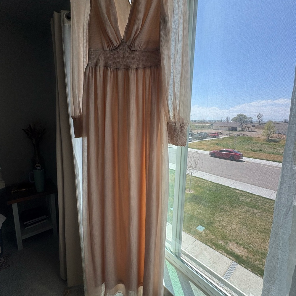 BalticBorn Elegant Sheer shimmer Long Sleeve Dress